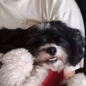 Meet your Posher, Joan